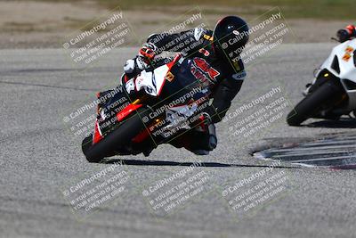 media/Mar-23-2025-TrackDaz (Sun) [[88a7749186]]/A Group/2pm (Cotton Corners)/